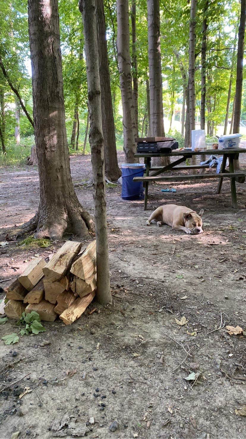 Camper-submitted photo at Dumont Lake Campground near Allegan, MI