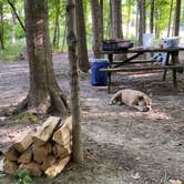 Review photo of Dumont Lake Campground by Angela C., September 11, 2022