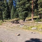 Review photo of Crag Crest Campground by Greg L., September 11, 2022