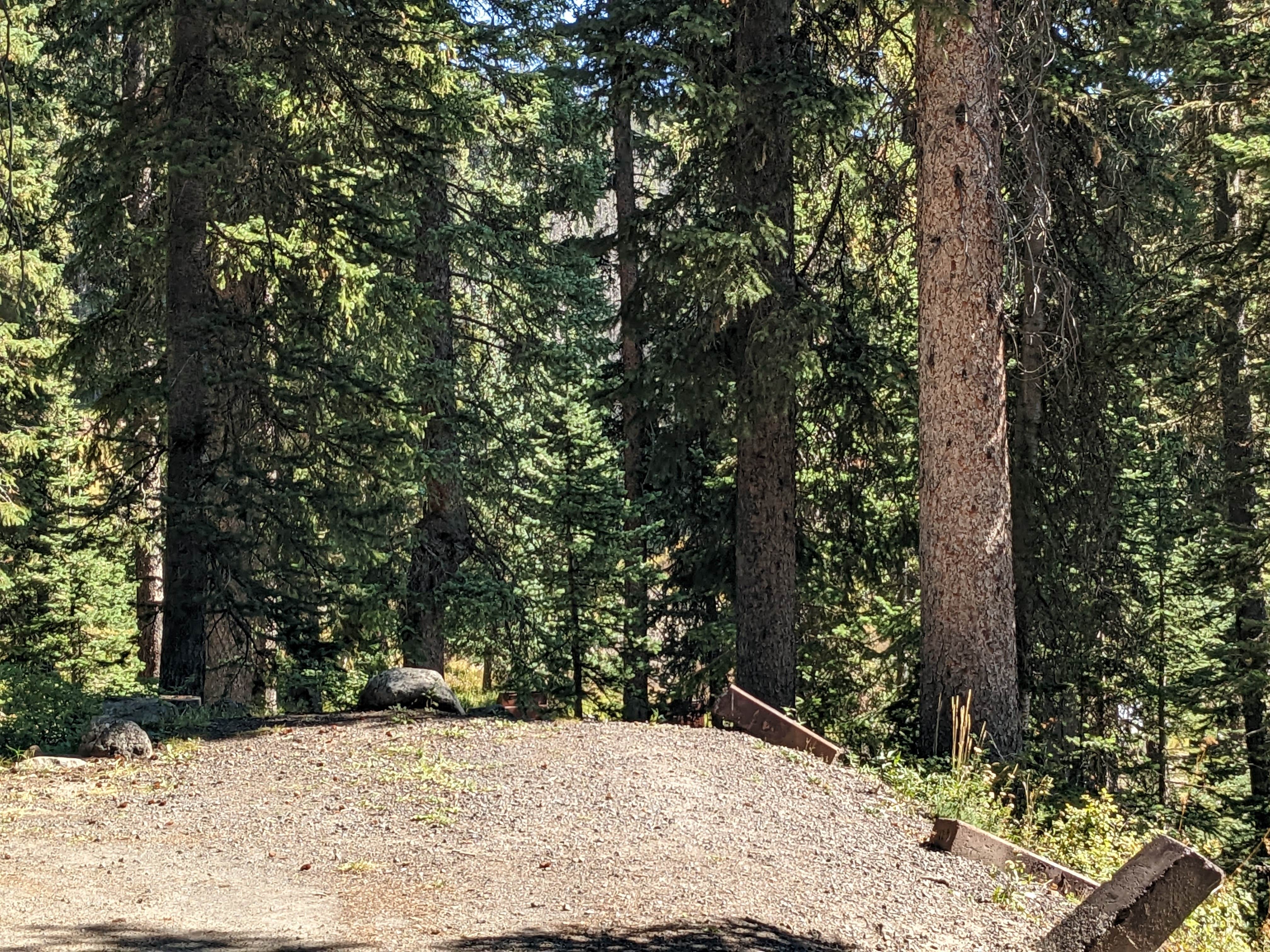 Escape To The Clouds: A Guide To Colorado’s Crag Crest Campground