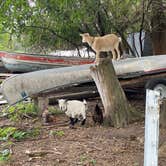 Review photo of The Jubilee Homestead by Jeriel Eli G., September 11, 2022