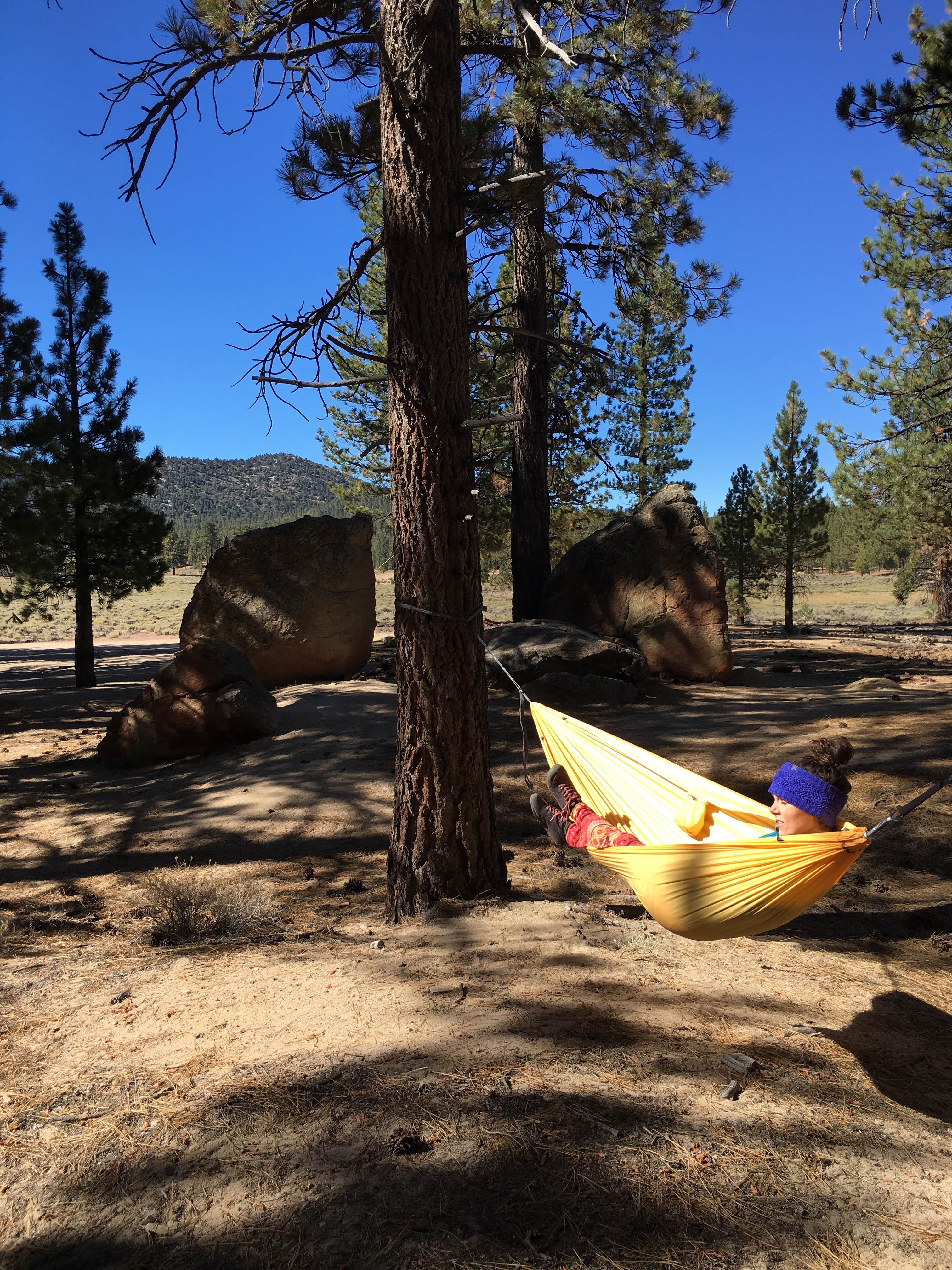 Camper submitted image from Holcomb Valley Climbers Camp - 4