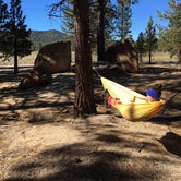 Review photo of Holcomb Valley Climbers Camp by Leslie R., July 25, 2018