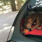 Review photo of Holcomb Valley Climbers Camp by Leslie R., July 25, 2018