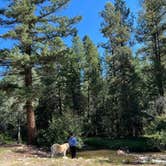 Review photo of El Rito Campground Group Shelter — Carson National Forest by Naythin H., September 11, 2022