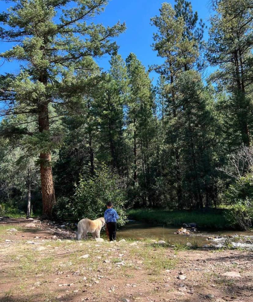 Camper submitted image from El Rito Campground Group Shelter — Carson National Forest - 5