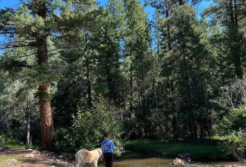 El Rito Lodging El Rito Campground Group Shelter — Carson National Forest | El Rito ...