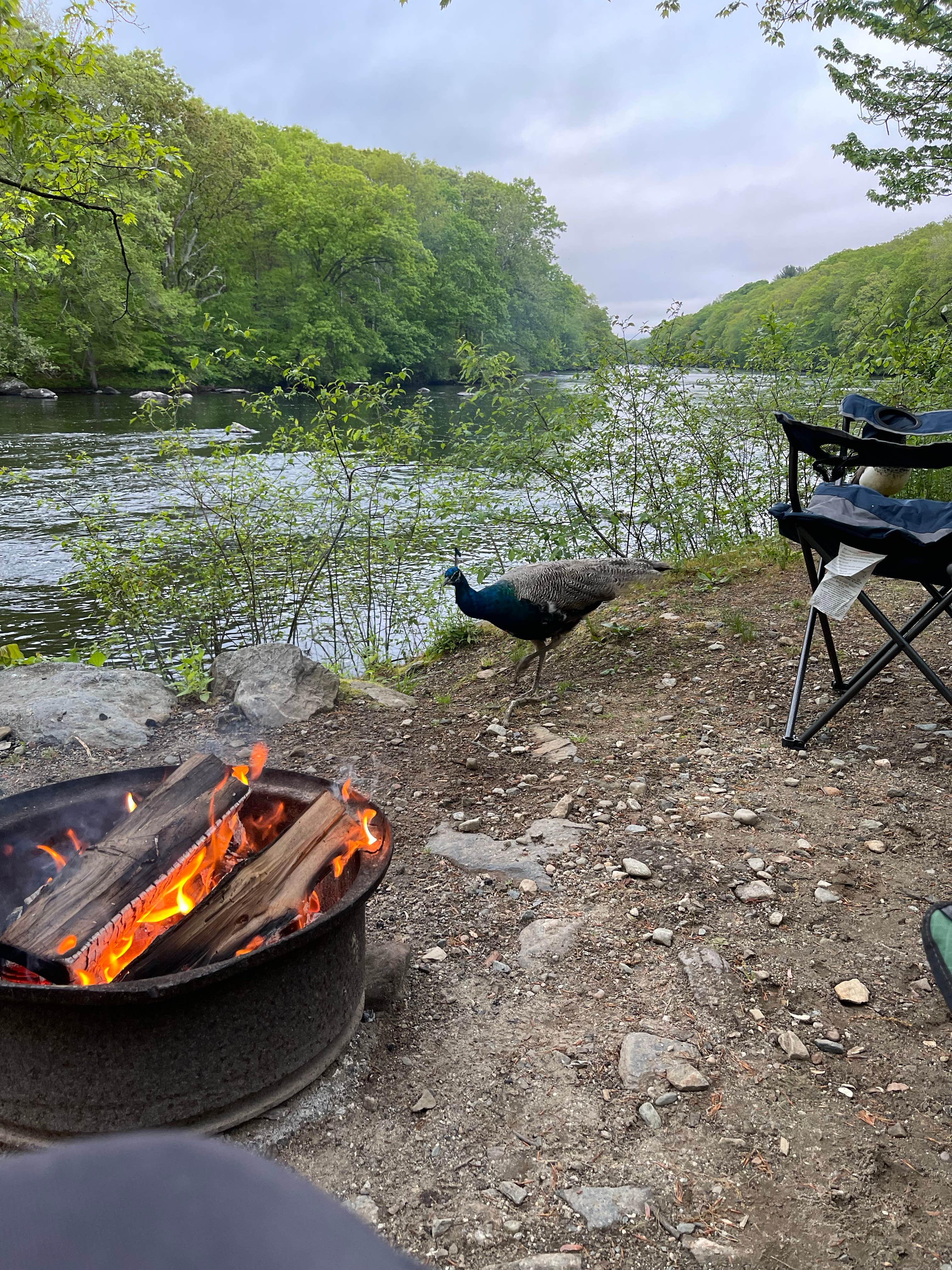 Camper-submitted photo at Hidden Acres Campground near Stonington, CT