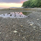 Review photo of Searsport Shores Ocean Campground by Barbara P., September 11, 2022