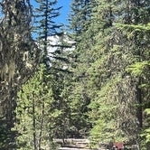 Review photo of Cougar Rock Campground — Mount Rainier National Park by Duncan G., September 11, 2022