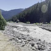 Review photo of Cougar Rock Campground — Mount Rainier National Park by Duncan G., September 11, 2022