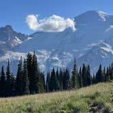 Review photo of Cougar Rock Campground — Mount Rainier National Park by Duncan G., September 11, 2022