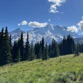 Review photo of Cougar Rock Campground — Mount Rainier National Park by Duncan G., September 11, 2022