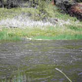 Review photo of Smith Rock State Park Campground by Eva W., June 19, 2015