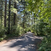 Review photo of Milo McIver State Park Campground by Duncan G., September 11, 2022
