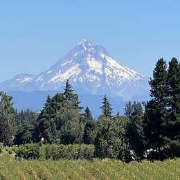 Milo McIver State Park Campground