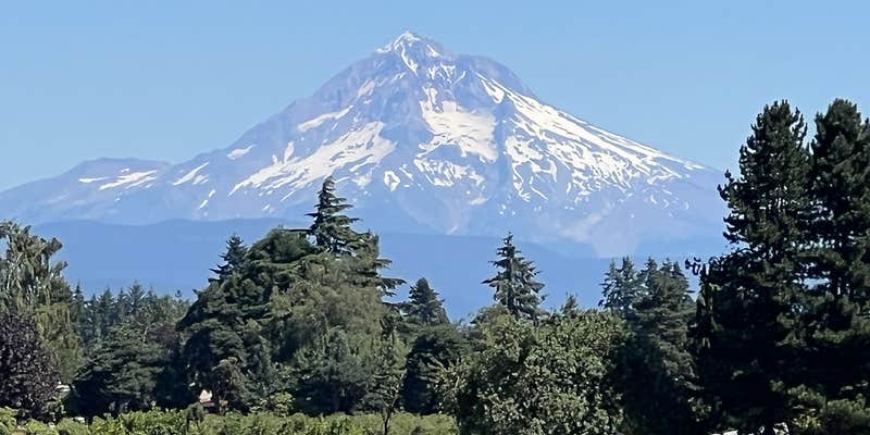 Camper submitted image from Milo McIver State Park Campground