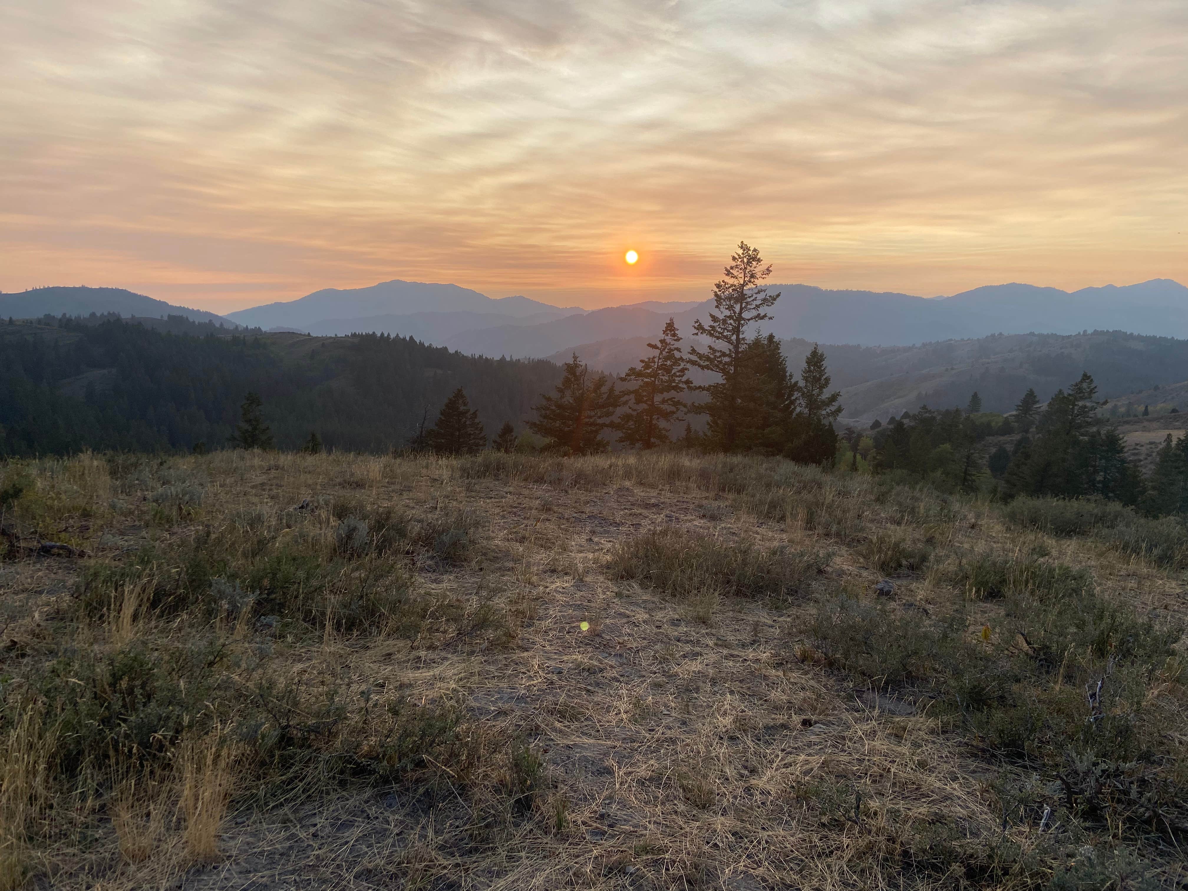 faith D.'s photo of a dispersed camping area at Pine Creek Pass Dispersed Camping near Irwin, ID