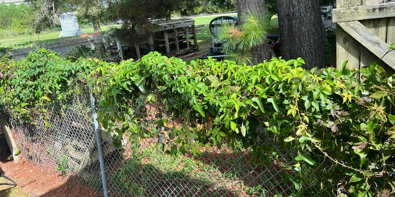 Camper submitted image from Harbor Point RV Community