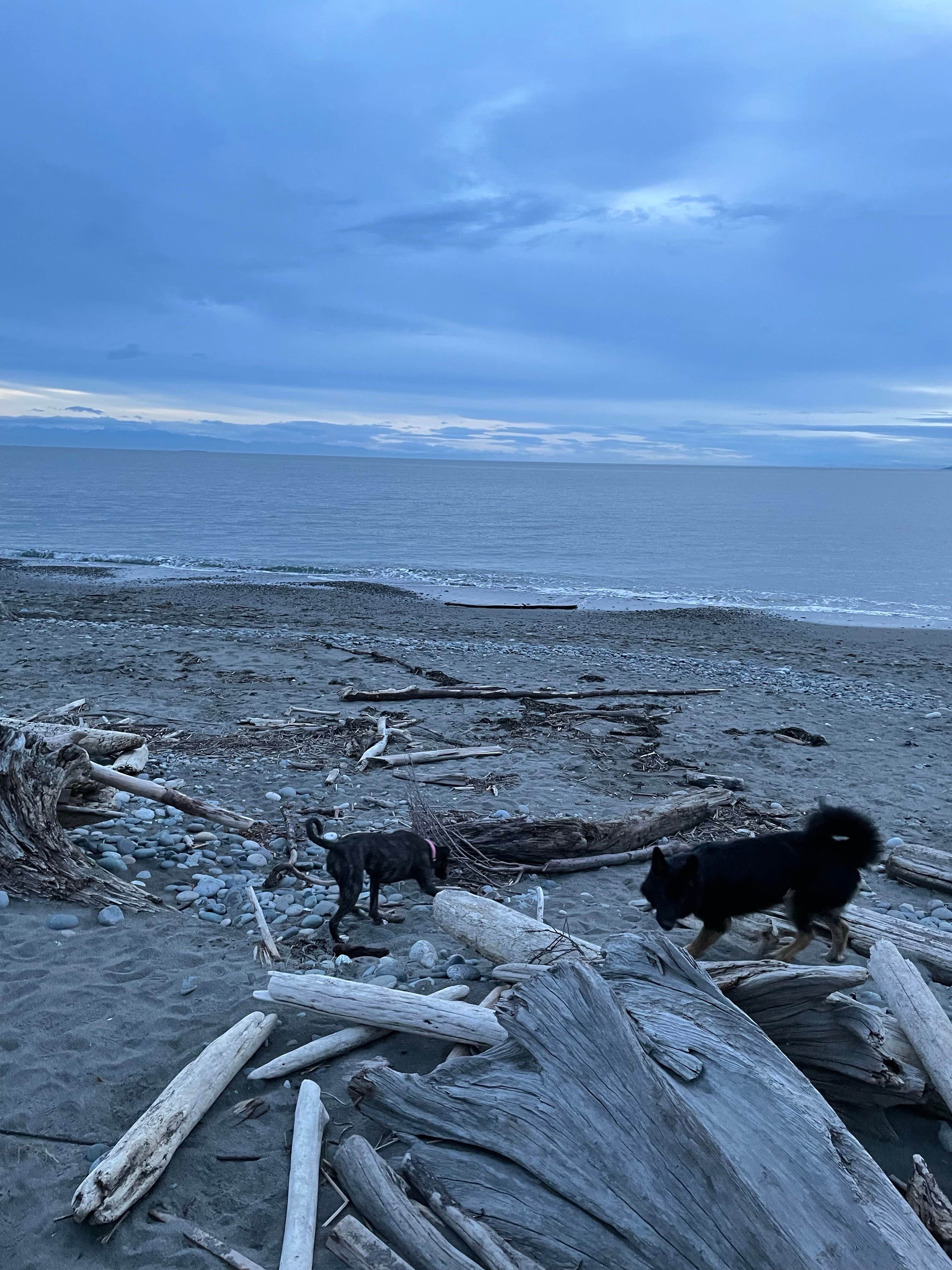 J A.'s photo of camping with pets at Deception Pass State Park Campground near Chimacum, WA