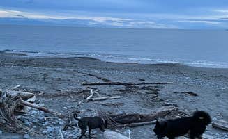 J A.'s photo of camping with pets at Deception Pass State Park Campground near Bow, WA