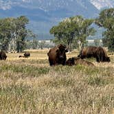 Review photo of Gros Ventre Campground — Grand Teton National Park by Carol J., September 9, 2022