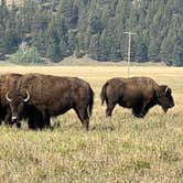 Review photo of Gros Ventre Campground — Grand Teton National Park by Carol J., September 9, 2022