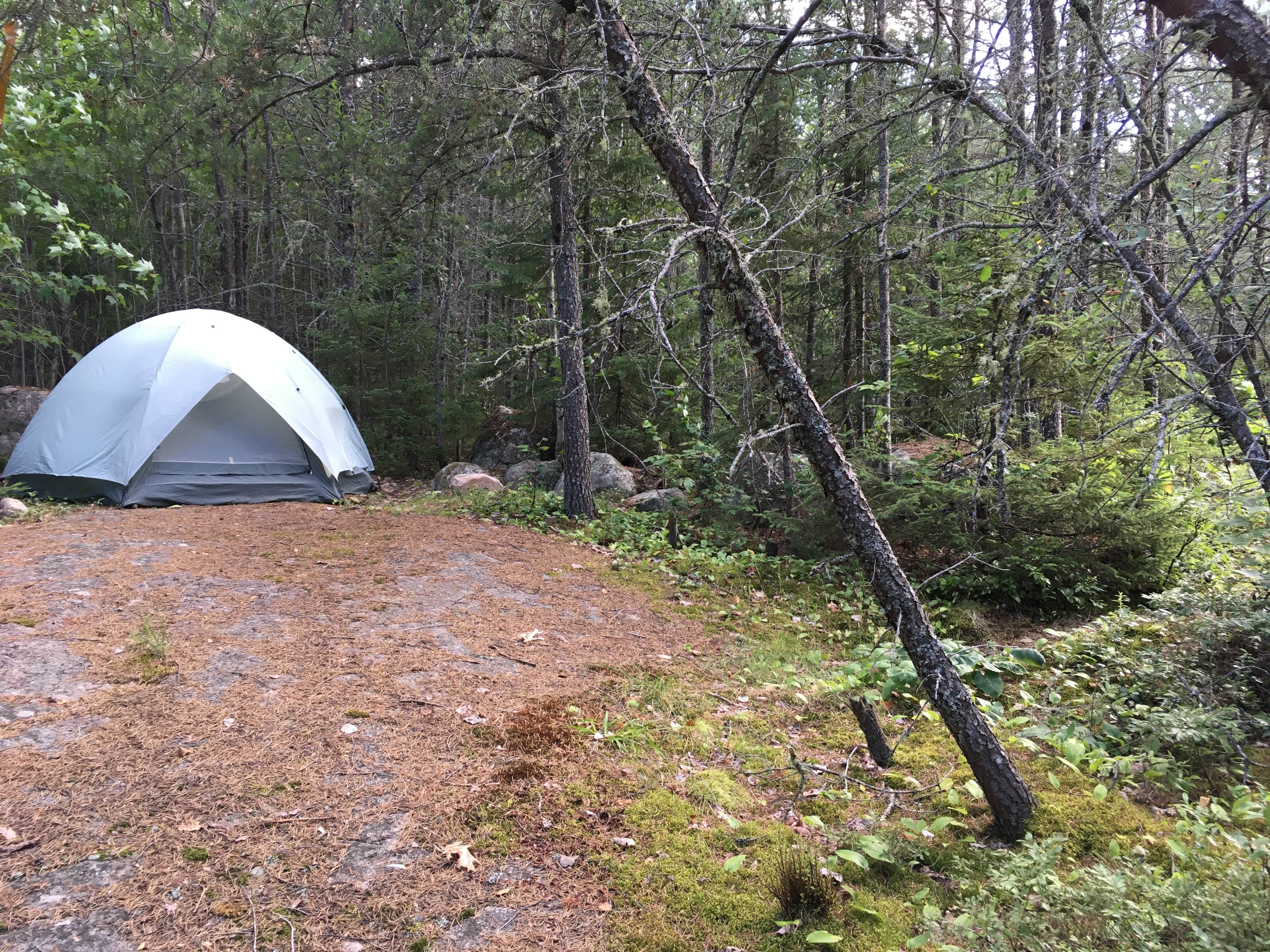 Les R.'s photo of tent camping at Meander Lake near Ely, MN