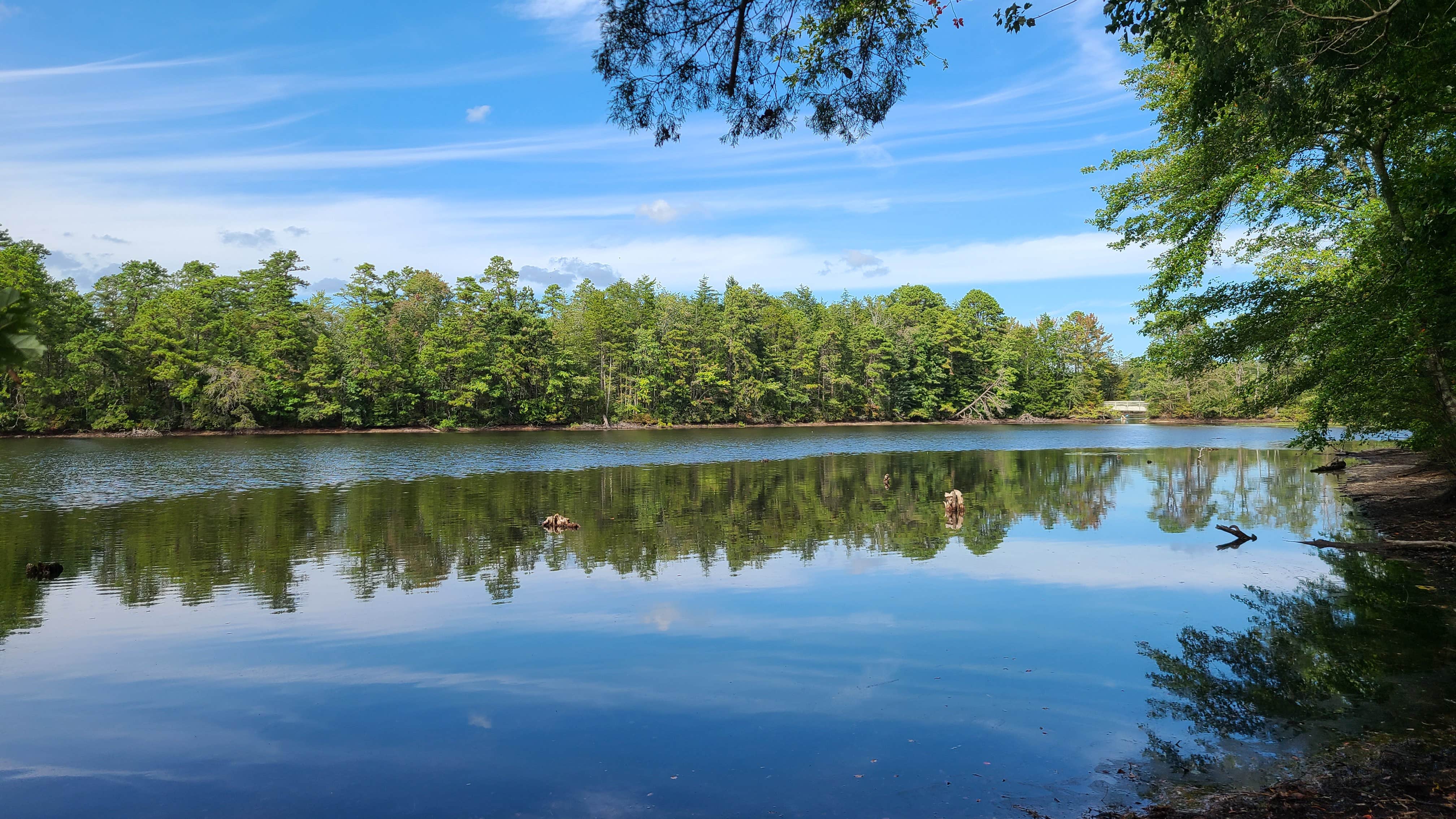 Camper submitted image from Belleplain State Forest - 5