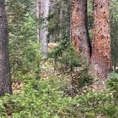 Review photo of Halfmoon Campground by Kristen , September 12, 2022