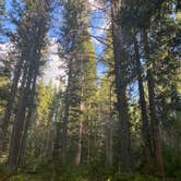 Review photo of Halfmoon Campground by Kristen , September 12, 2022