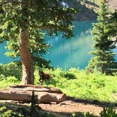 Review photo of Blue Lake Dispersed Camping- CLOSED by Elizabeth V., July 26, 2018