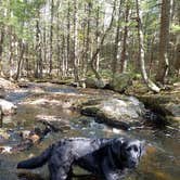 Review photo of Moreau Lake State Park Campground by Nancy W., September 12, 2022