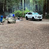 Review photo of Gualala River Redwood Park by Andrea M., September 12, 2022