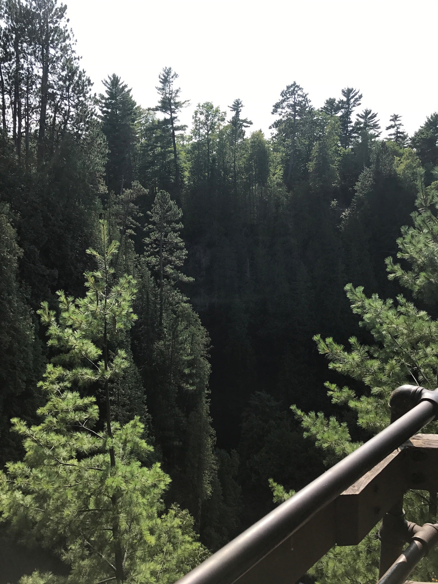 A view from a waterfall lookout. 