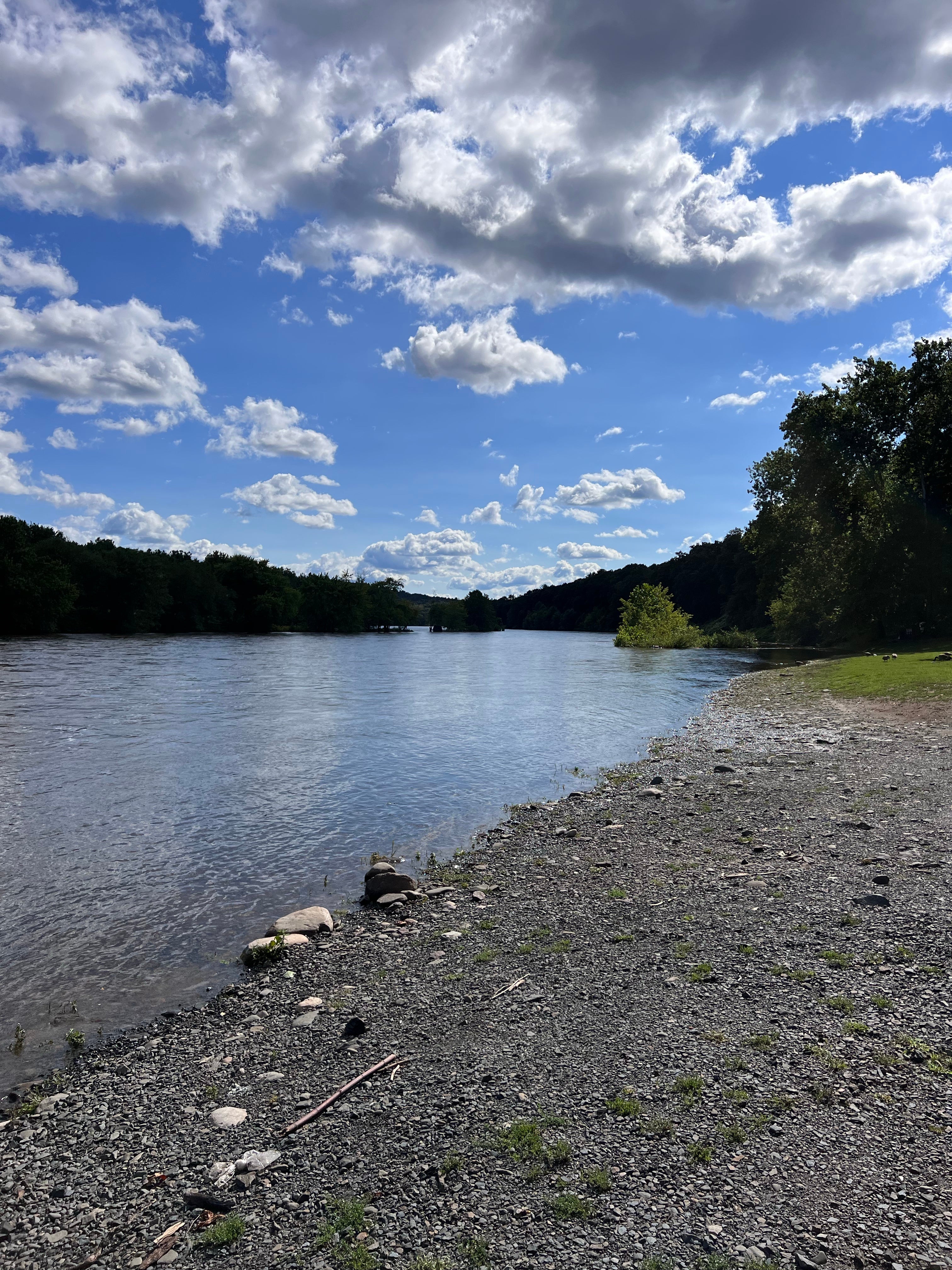 Camper submitted image from Kittatinny Canoes River Beach Campsites - 2