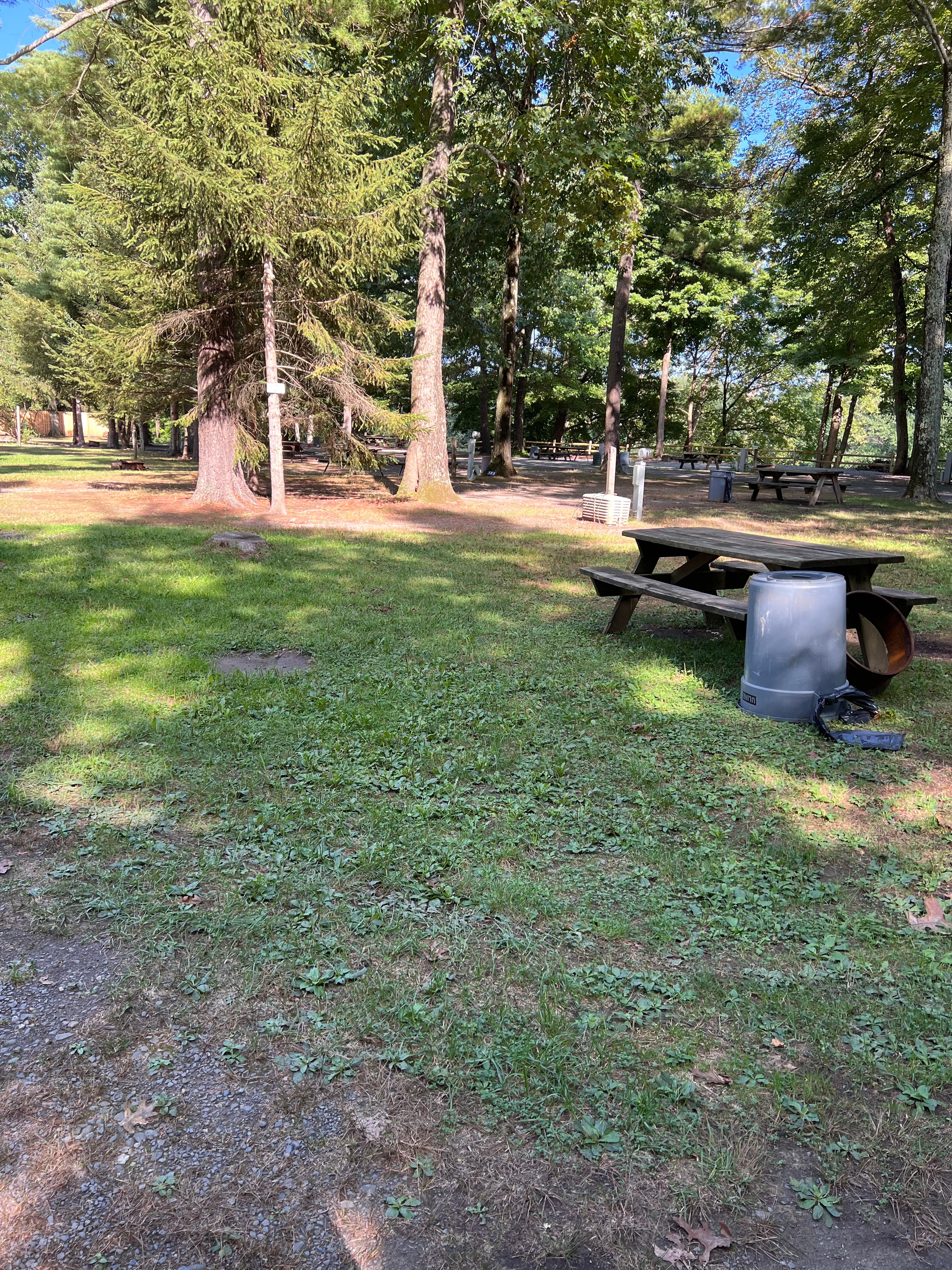 Camper submitted image from Kittatinny Canoes River Beach Campsites - 3