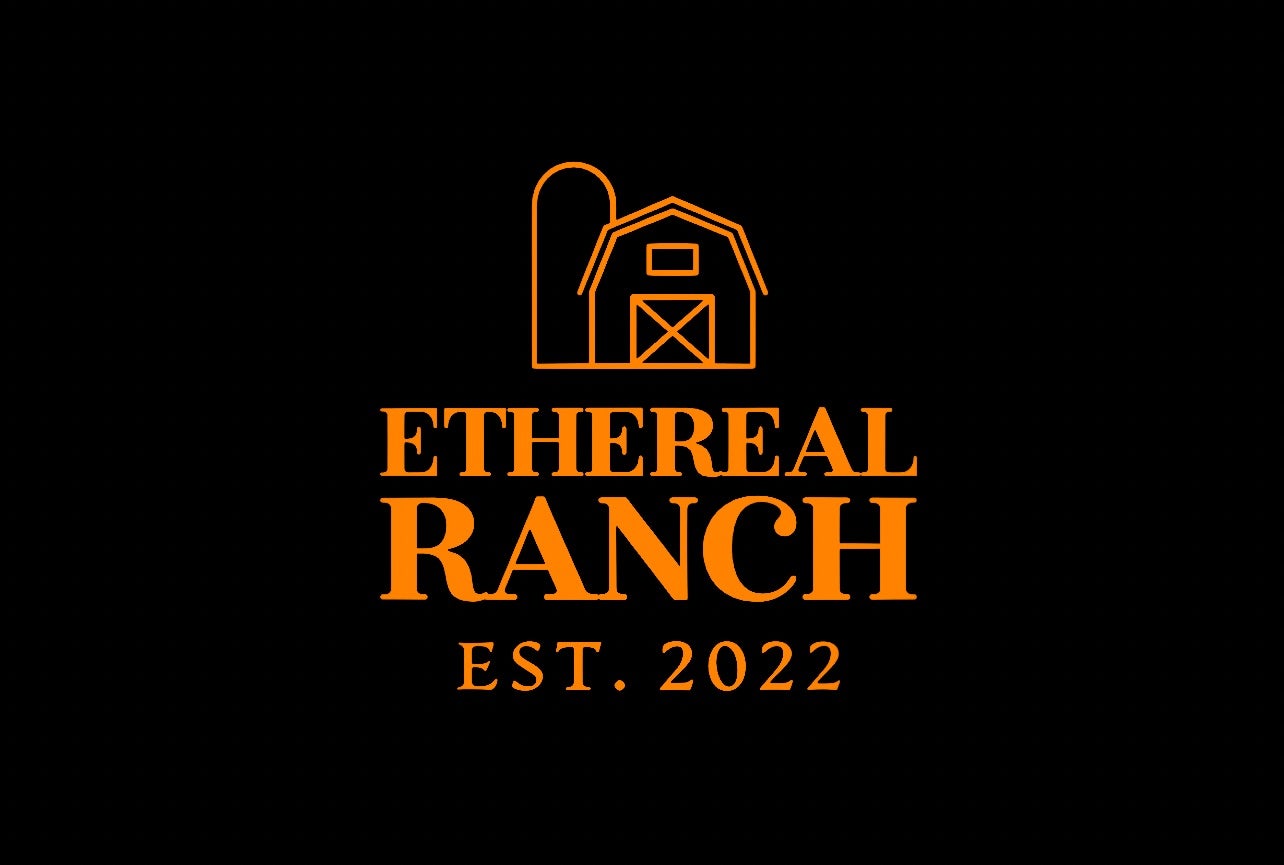 Camper submitted image from Ethereal Ranch - 1