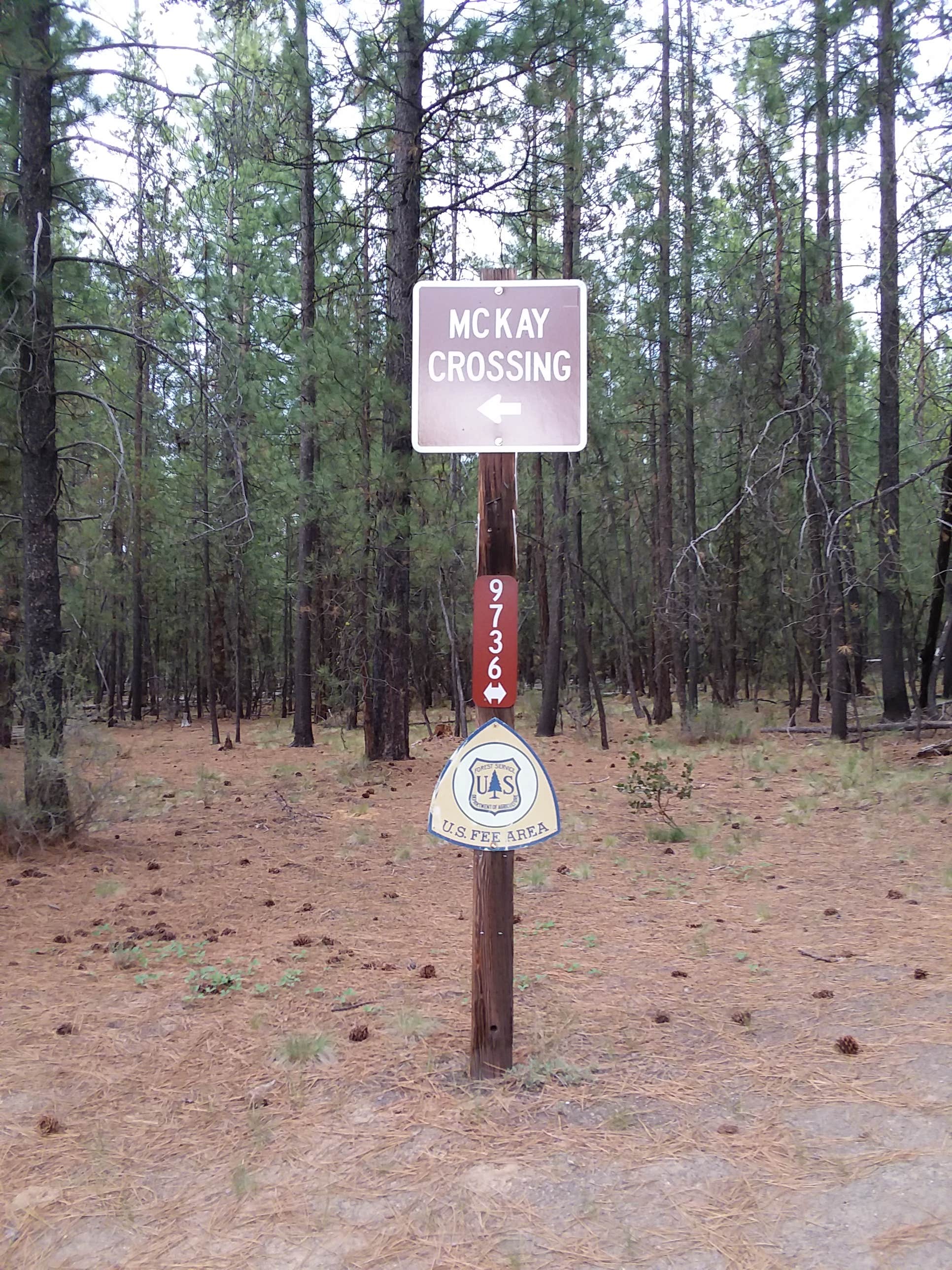 Camper submitted image from Mckay Crossing Campground - 5