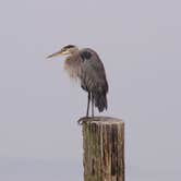 Review photo of Kayak Point County Park by Jake G., September 12, 2022