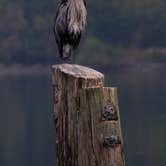 Review photo of Kayak Point County Park by Jake G., September 12, 2022