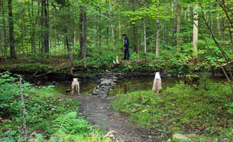Jennifer C.'s photo of camping with pets at Greendale Campground near Ludlow, VT
