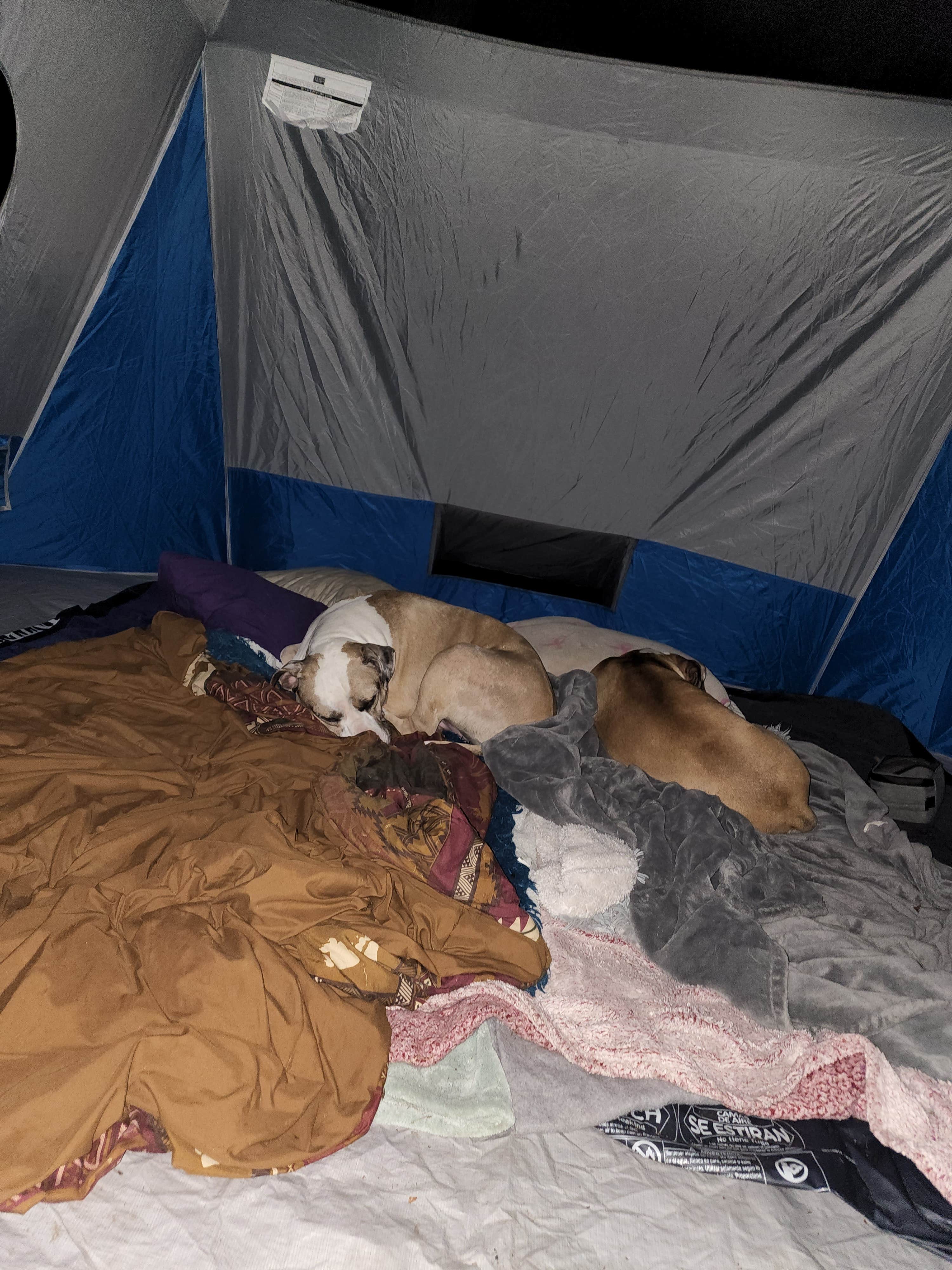 Jennifer C.'s photo at Greendale Campground near West Rutland, VT