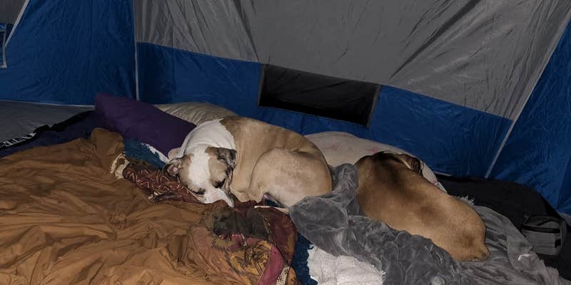 Camper submitted image from Greendale Campground