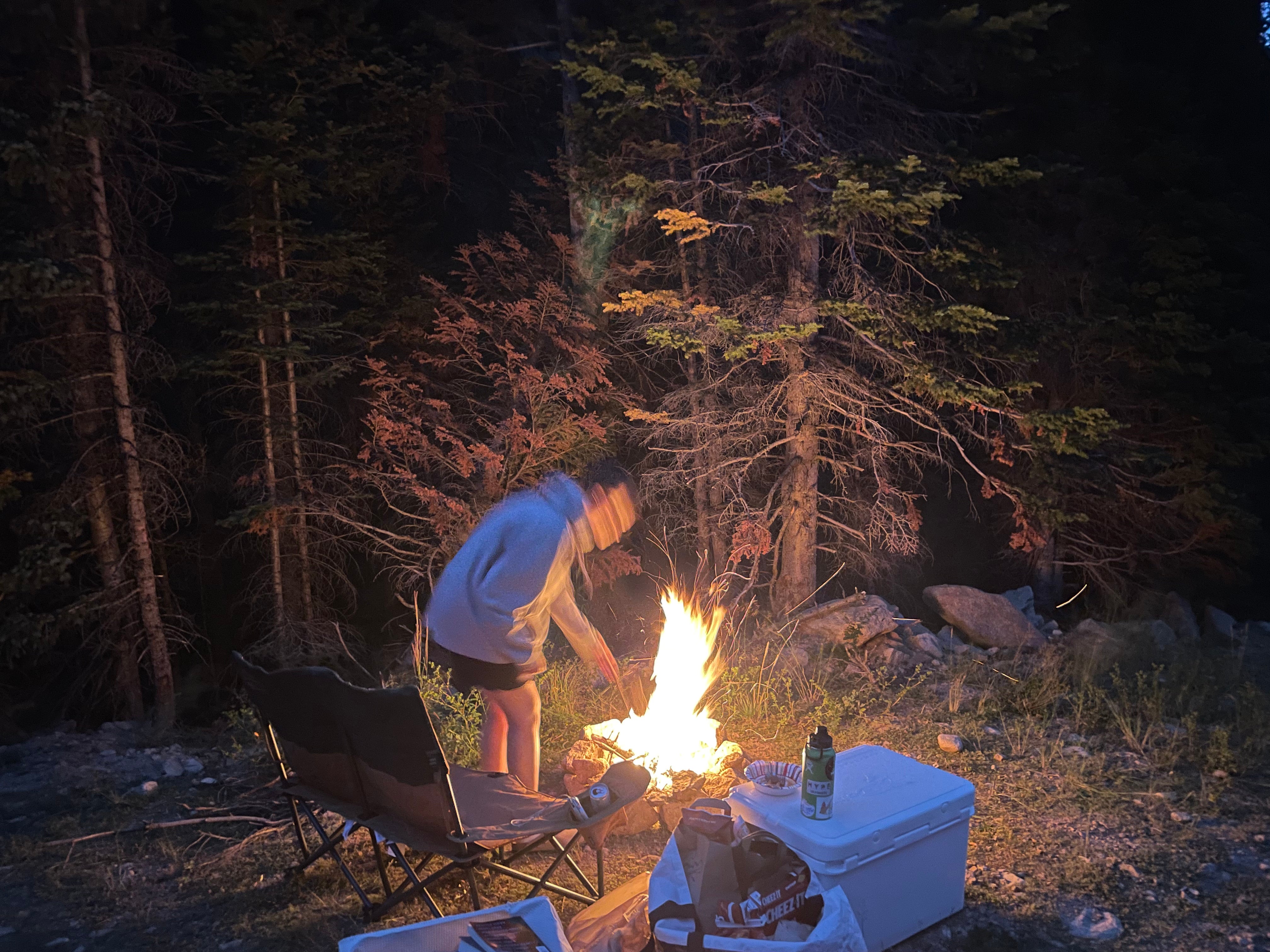 Camper submitted image from Allenspark Dispersed Camping - 1