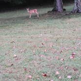 Review photo of Cages Bend by Mike N., September 13, 2022