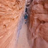 Review photo of Wingate Campground — Dead Horse Point State Park by John K., September 13, 2022