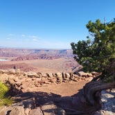 Review photo of Wingate Campground — Dead Horse Point State Park by John K., September 13, 2022