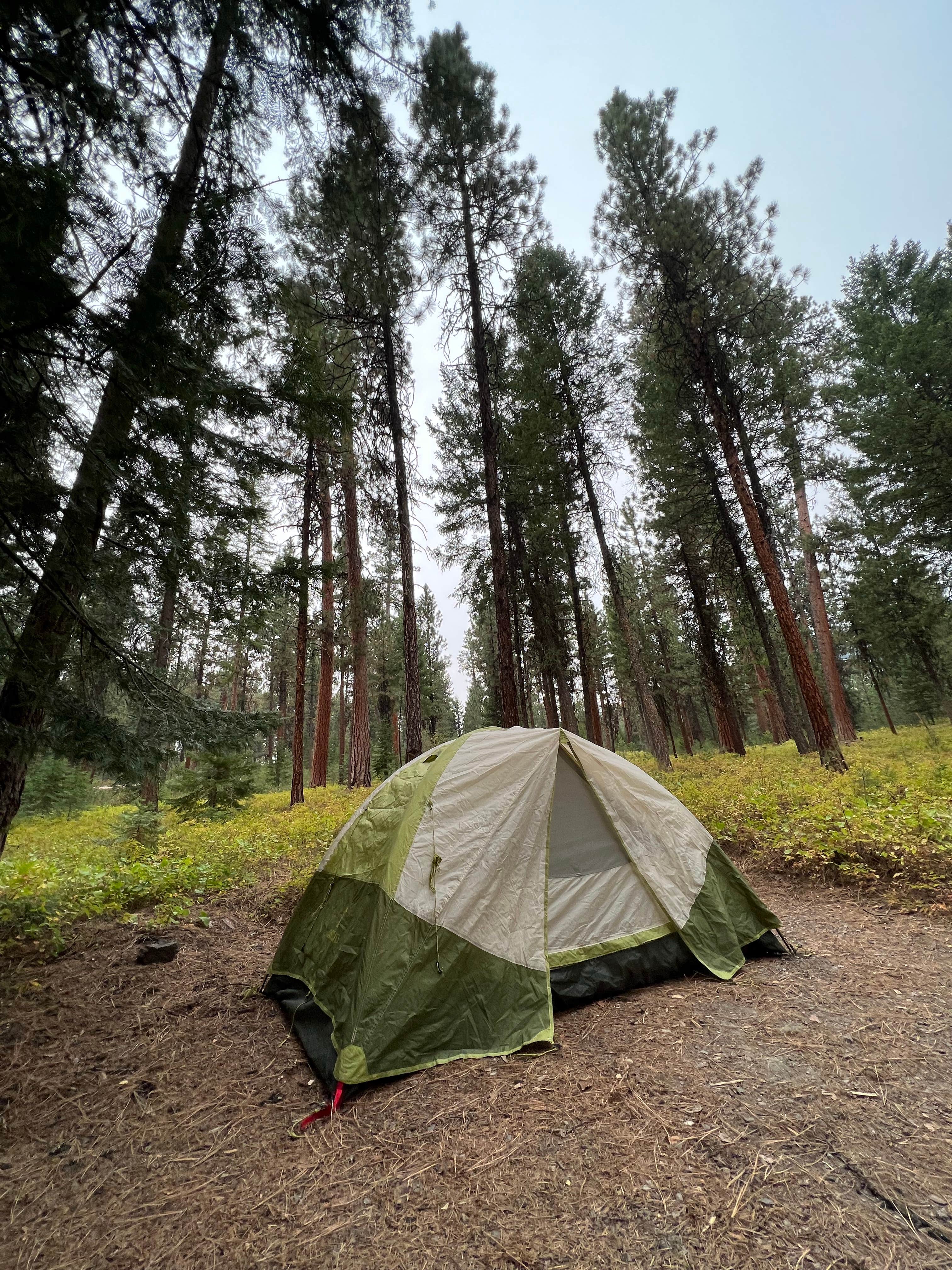 Camping near South Fork: Wetmore Campground, Unity, Oregon