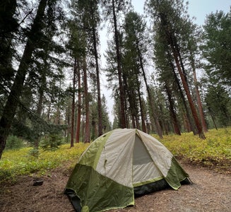 Camper-submitted photo from Wetmore Campground